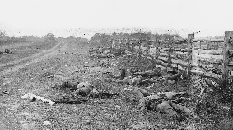 Antietam, Md. Confederate dead by a fence on the Hagerstown road. Photograph from the main eastern theater of the war, Battle of Antietam, September-October 1862.