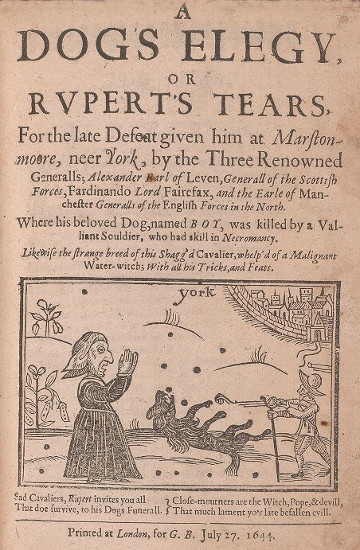 A Dog's Elegy, or Rupert's Tears