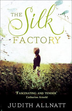 Find out more about The Silk Factory by Judith Allnatt