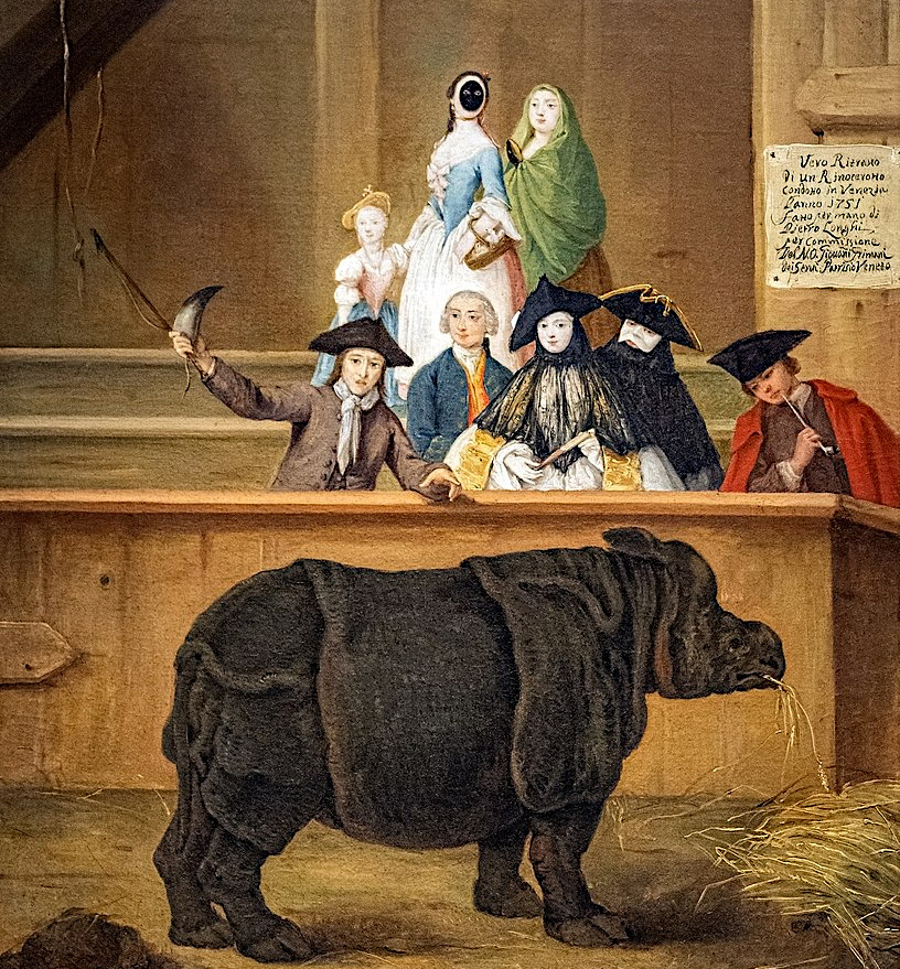 Il Rinoceronte by Pietro Longhi