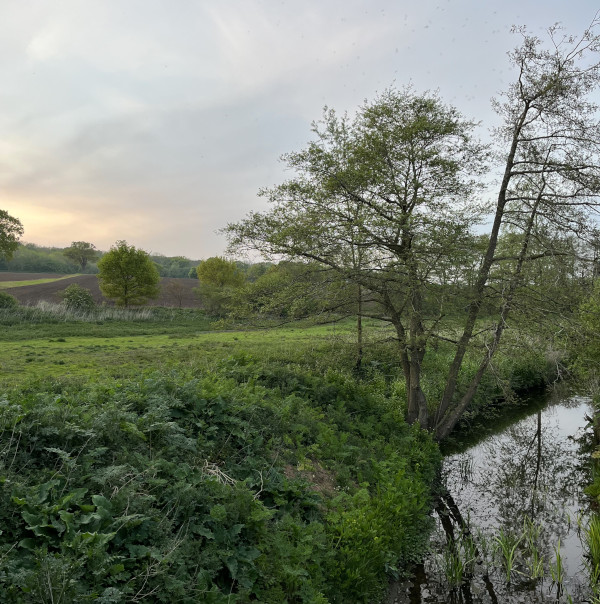 The beck near Lush Bush where Mary Tyrell is buried