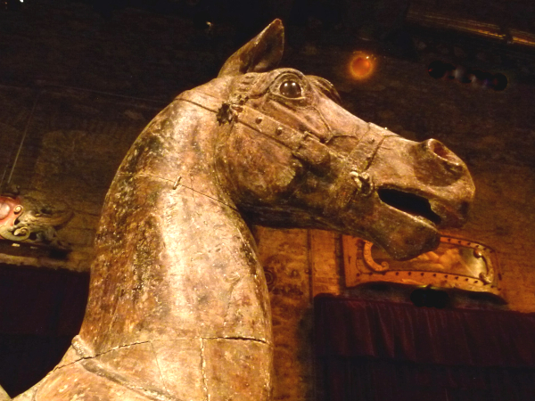 Horse's head for a manège