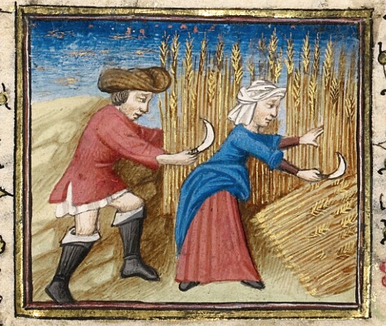 July, reaping